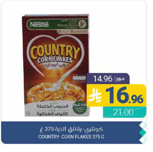 available at اسواق المنتزه in مملكة العربية السعودية, السعودية, سعودية - القطيف‎