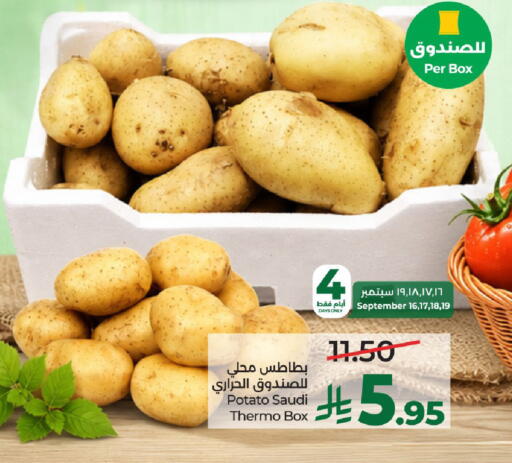Potato from Saudi Arabia available at لولو هايبرماركت in مملكة العربية السعودية, السعودية, سعودية - حائل‎
