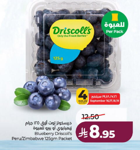 Blueberry BlueBerry from Zimbabwe available at لولو هايبرماركت in مملكة العربية السعودية, السعودية, سعودية - حائل‎