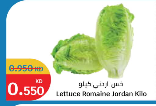 Lettuce from Jordan available at City Hypermarket in Kuwait - Kuwait City