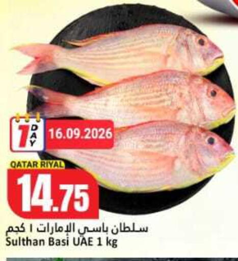 available at دانة هايبرماركت in قطر - الشمال