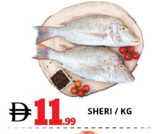 available at EXPRESS AL MADEENA HYPERMARKET LLC in UAE - Abu Dhabi