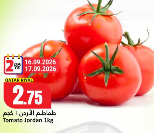 Tomato from Qatar Jordan available at دانة هايبرماركت in قطر - الخور
