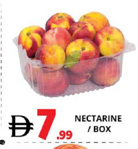Nectarine available at EXPRESS AL MADEENA HYPERMARKET LLC in UAE - Abu Dhabi