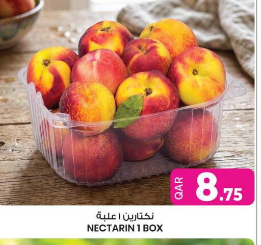 available at أنصار جاليري in قطر - الوكرة