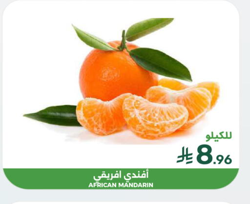 Mandarin available at  مـزايــا in مملكة العربية السعودية, السعودية, سعودية - القطيف‎