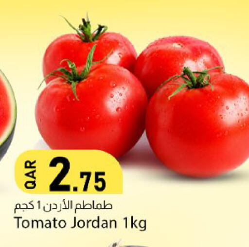 Tomato from Jordan available at دانا ماركت in قطر - الشحانية