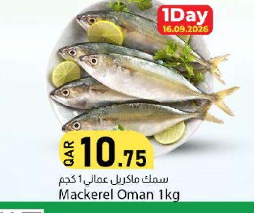 available at دانا ماركت in قطر - الوكرة