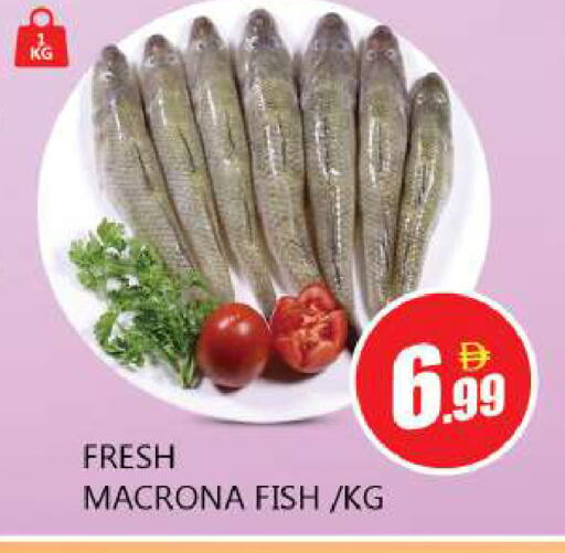 available at Souk Al Mubarak Hypermarket in UAE - Sharjah / Ajman