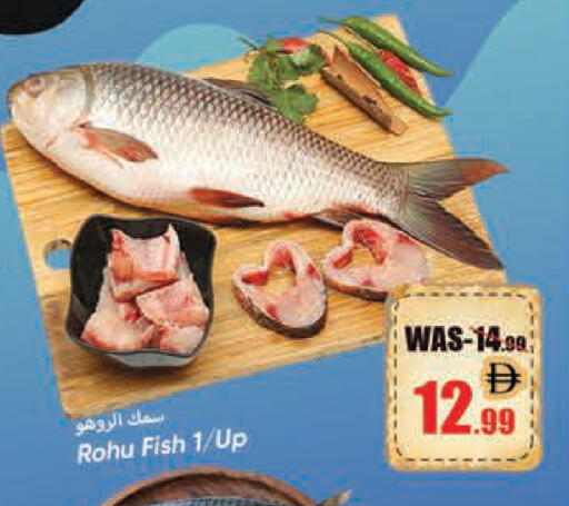 available at ليبتس هايبرماركت in الإمارات العربية المتحدة , الامارات - ٱلْعَيْن‎