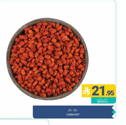 available at Muntazah Markets in KSA, Saudi Arabia, Saudi - Qatif