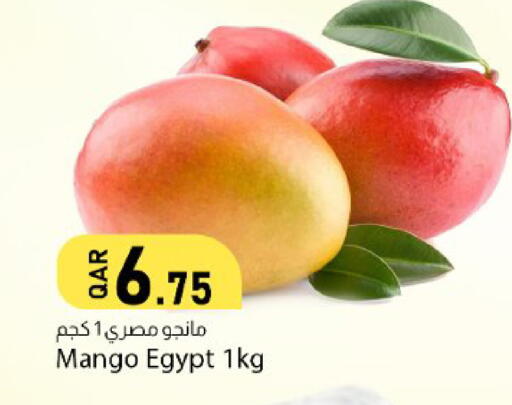 Mango from Egypt available at دانا ماركت in قطر - الشحانية