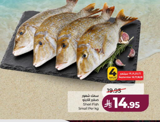 available at لولو هايبرماركت in مملكة العربية السعودية, السعودية, سعودية - الطائف