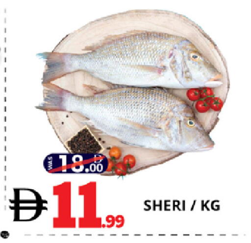 available at EXPRESS AL MADEENA HYPERMARKET LLC in UAE - Abu Dhabi