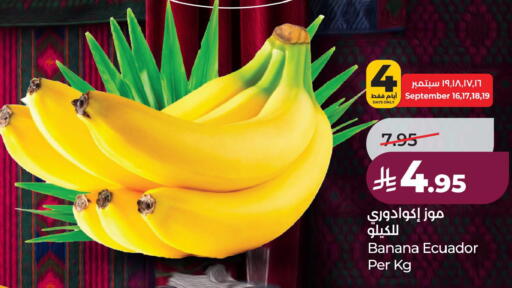Banana from Ecuador available at لولو هايبرماركت in مملكة العربية السعودية, السعودية, سعودية - الخبر‎
