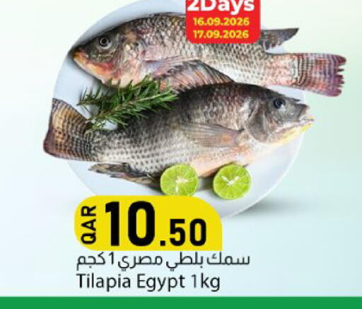 available at دانا ماركت in قطر - الدوحة