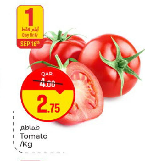 Tomato available at باريس هايبرماركت in قطر - الشحانية