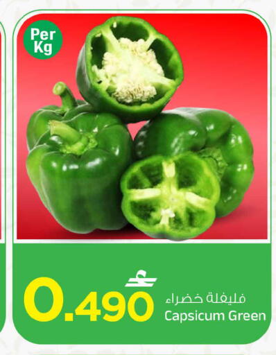 Capsicum available at مارك & سايف in عُمان - مسقط‎