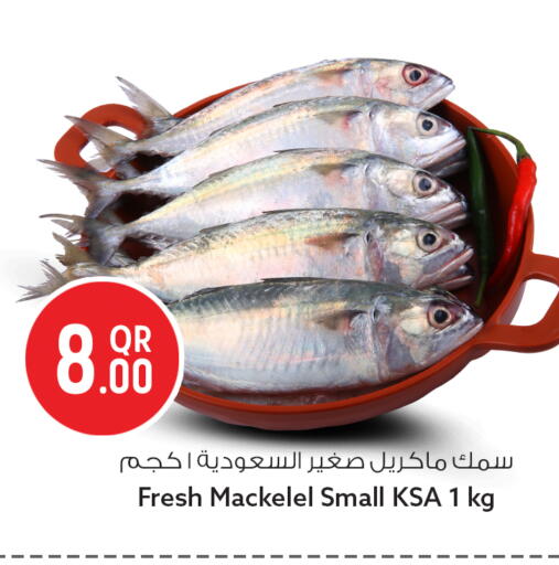 available at Safari Hypermarket in Qatar - Al Wakra