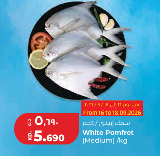 available at Lulu Hypermarket  in Kuwait - Kuwait City