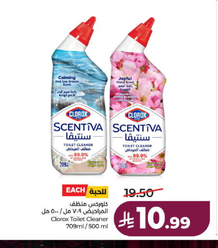 available at لولو هايبرماركت in مملكة العربية السعودية, السعودية, سعودية - حائل‎
