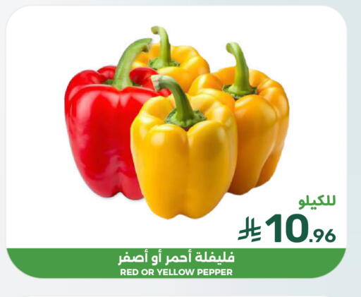 Pepper available at  مـزايــا in مملكة العربية السعودية, السعودية, سعودية - القطيف‎