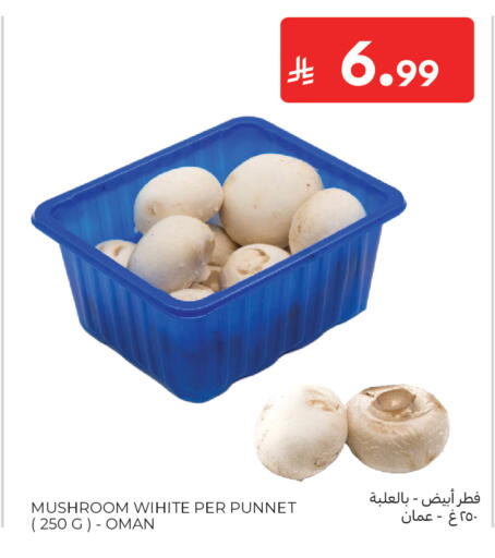 Mushroom from Oman available at كارفور in مملكة العربية السعودية, السعودية, سعودية - سكاكا