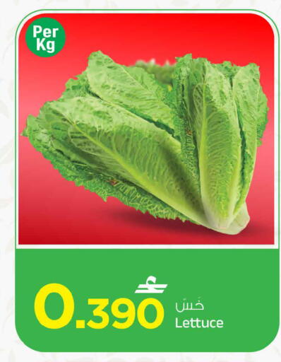Lettuce available at مارك & سايف in عُمان - مسقط‎
