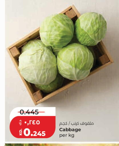 Cabbage available at Lulu Hypermarket  in Kuwait - Kuwait City