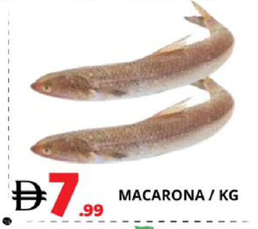 available at EXPRESS AL MADEENA HYPERMARKET LLC in UAE - Abu Dhabi