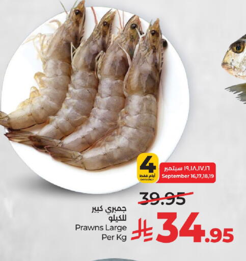 available at لولو هايبرماركت in مملكة العربية السعودية, السعودية, سعودية - حائل‎