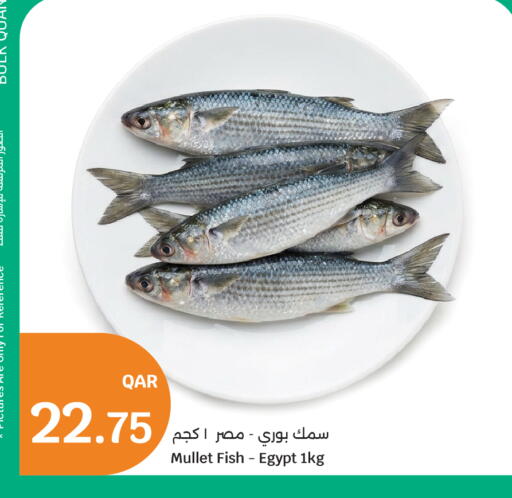 available at City Hypermarket in Qatar - Al Wakra