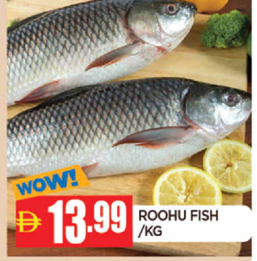 available at AL MADINA in UAE - Sharjah / Ajman