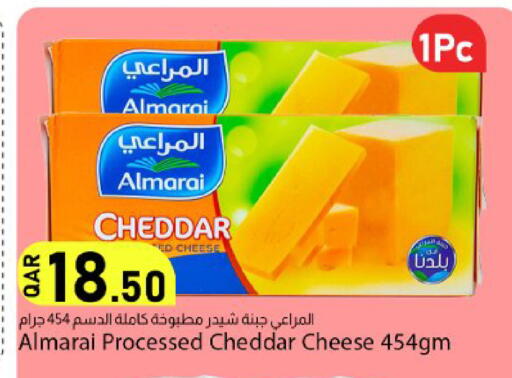 available at دانا ماركت in قطر - الشحانية