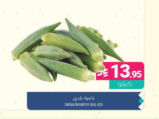 Okra available at Muntazah Markets in KSA, Saudi Arabia, Saudi - Qatif