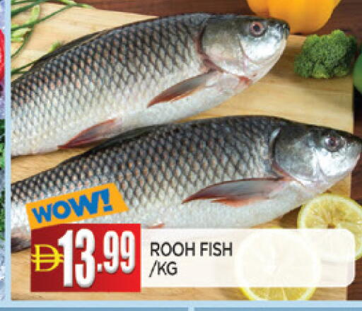 available at AL MADINA in UAE - Sharjah / Ajman