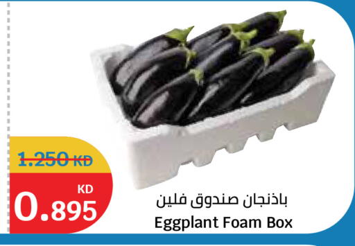 Eggplant available at City Hypermarket in Kuwait - Kuwait City