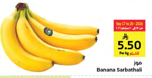 Banana available at كبايان هايبرماركت in مملكة العربية السعودية, السعودية, سعودية - جدة