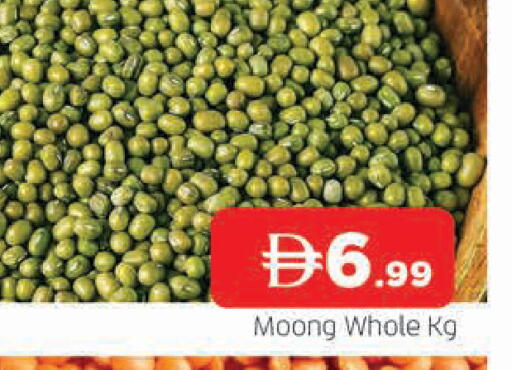 available at AL MADINA in UAE - Sharjah / Ajman