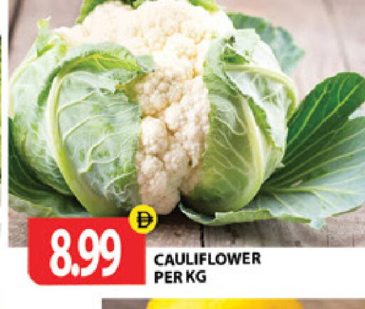 Cauliflower available at جلف هايبرماركت ذ.م.م in الإمارات العربية المتحدة , الامارات - رَأْس ٱلْخَيْمَة