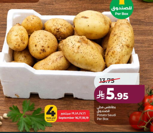 Potato from Saudi Arabia available at لولو هايبرماركت in مملكة العربية السعودية, السعودية, سعودية - الأحساء‎