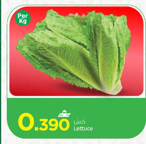 Lettuce available at مارك & سايف in عُمان - مسقط‎
