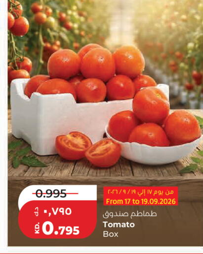 Tomato available at Lulu Hypermarket  in Kuwait - Kuwait City