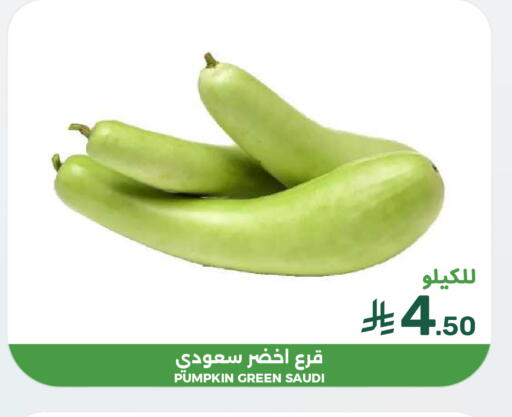 Pumpkin from Saudi Arabia available at  مـزايــا in مملكة العربية السعودية, السعودية, سعودية - القطيف‎