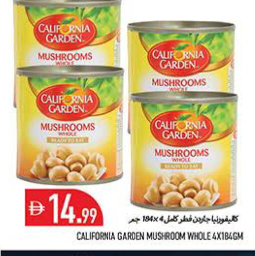 Mushroom available at Rawabi Market Ajman in UAE - Sharjah / Ajman