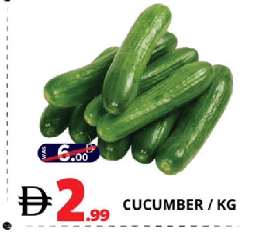 Cucumber available at EXPRESS AL MADEENA HYPERMARKET LLC in UAE - Abu Dhabi