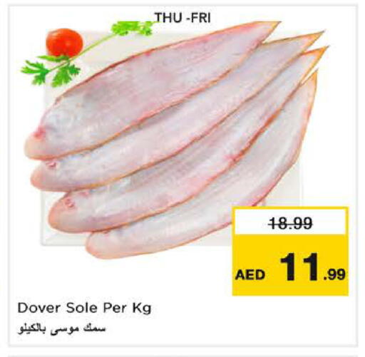 available at نستو هايبرماركت in الإمارات العربية المتحدة , الامارات - ٱلْعَيْن‎