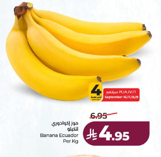 Banana from Ecuador available at لولو هايبرماركت in مملكة العربية السعودية, السعودية, سعودية - الطائف