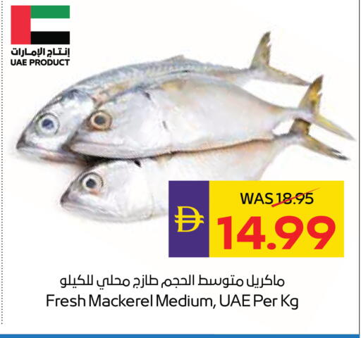 available at أدكووب in الإمارات العربية المتحدة , الامارات - أبو ظبي