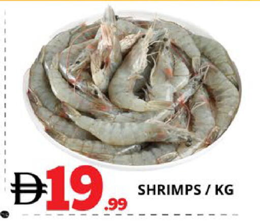 available at EXPRESS AL MADEENA HYPERMARKET LLC in UAE - Abu Dhabi